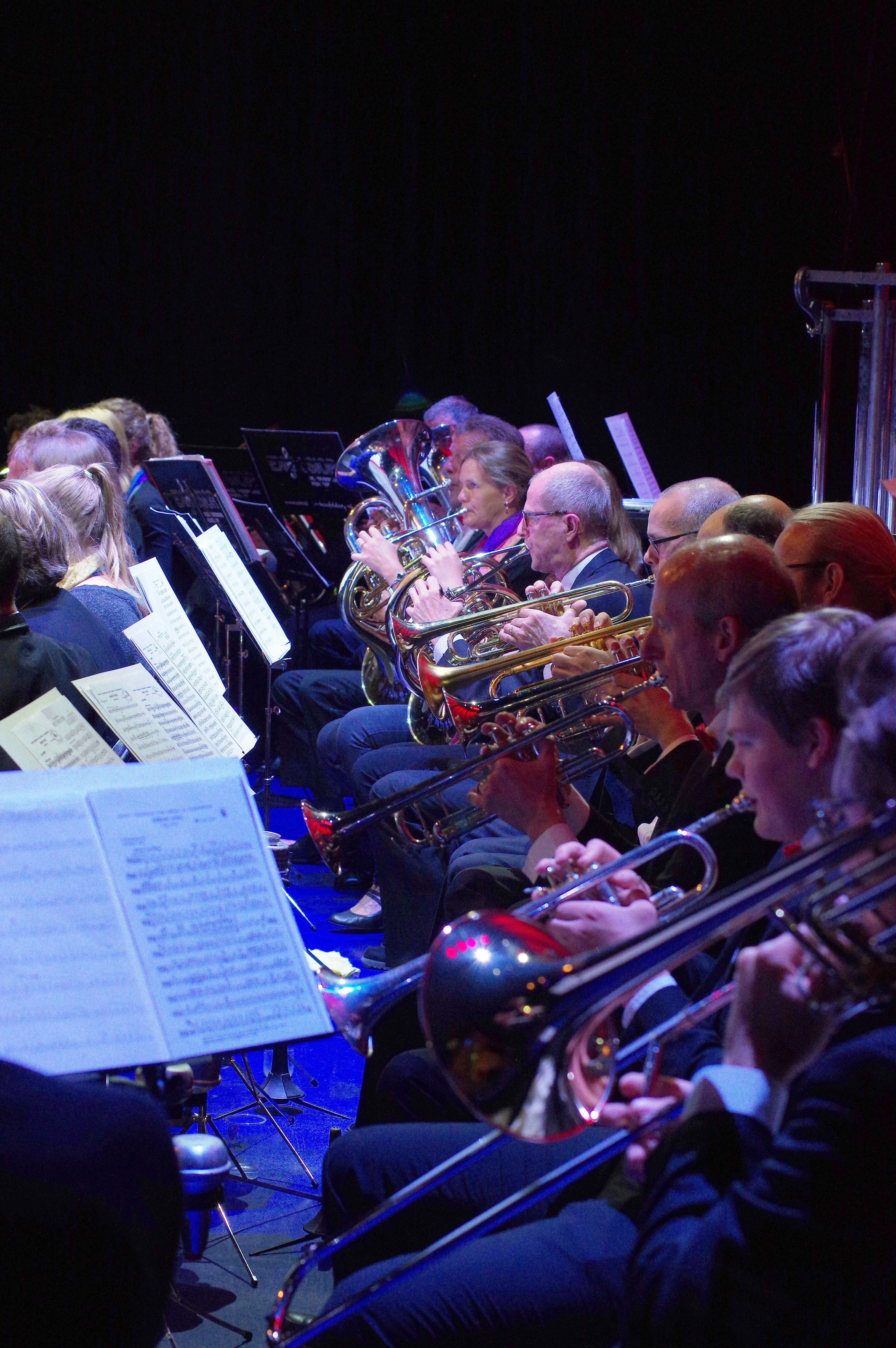 Blaasorkestenfestival 2018 — foto 18