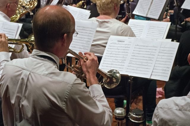 Jaarconcert 2014 — foto 5