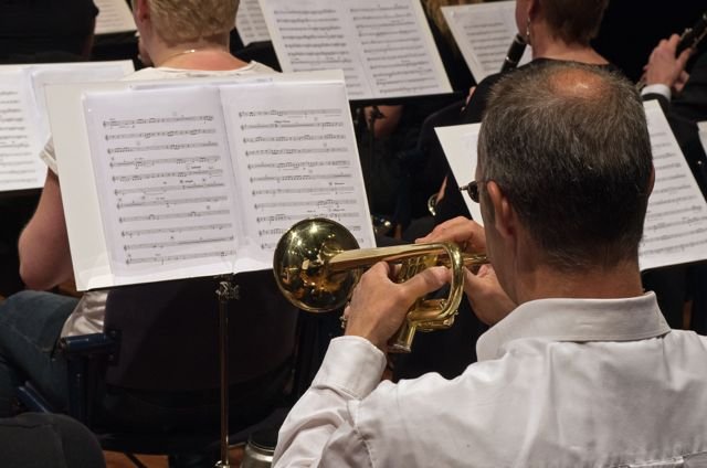 Jaarconcert 2014 — foto 7