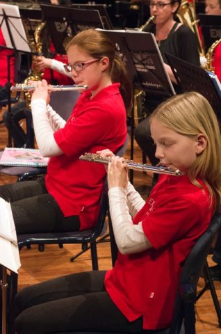 Jaarconcert 2014 — foto 22