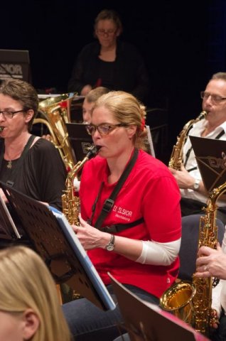 Jaarconcert 2014 — foto 23