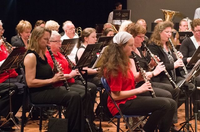 Jaarconcert 2014 — foto 33