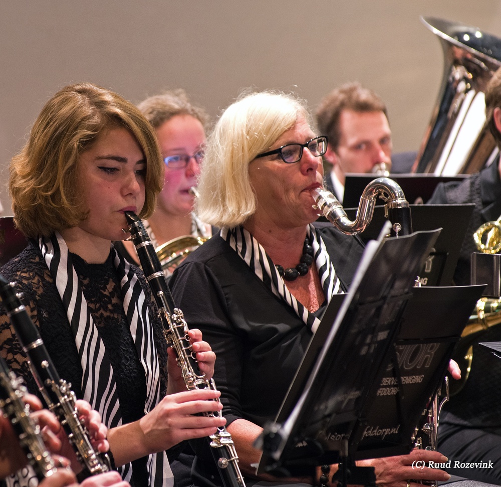 Streekfestival Bodegraven 7 November 2015 — foto 5