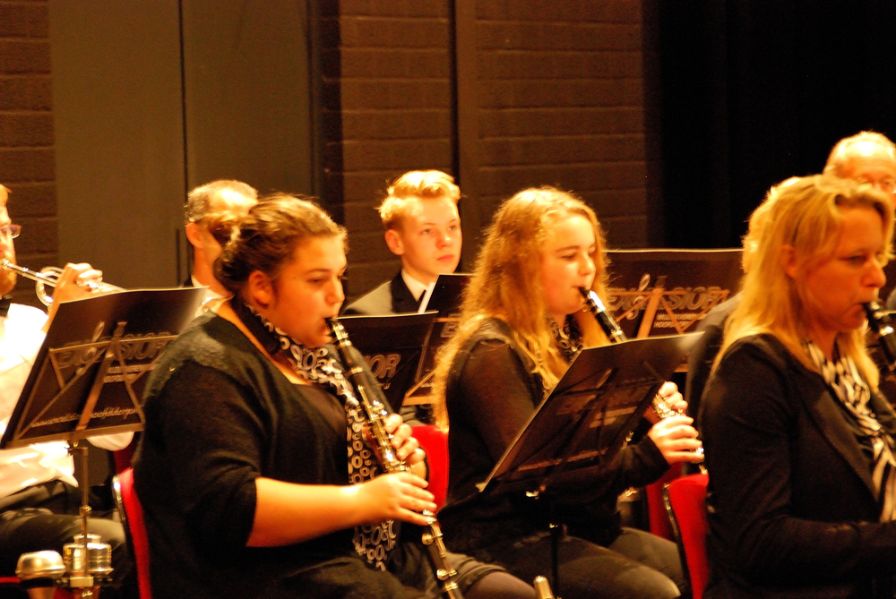 Streekfestival Bodegraven 7 November 2015 — foto 25