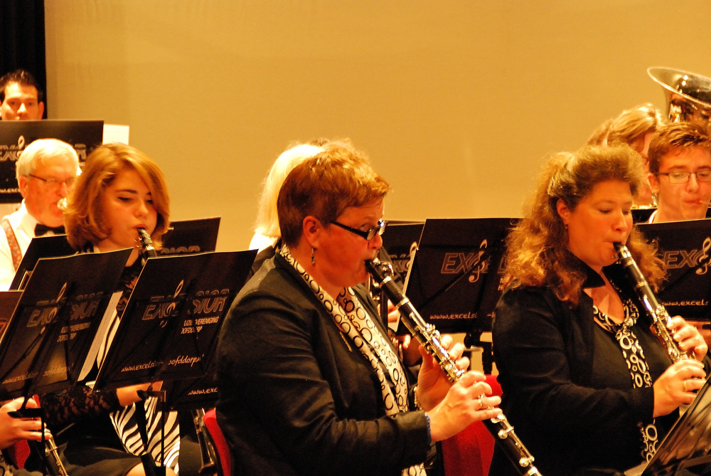 Streekfestival Bodegraven 7 November 2015 — foto 27