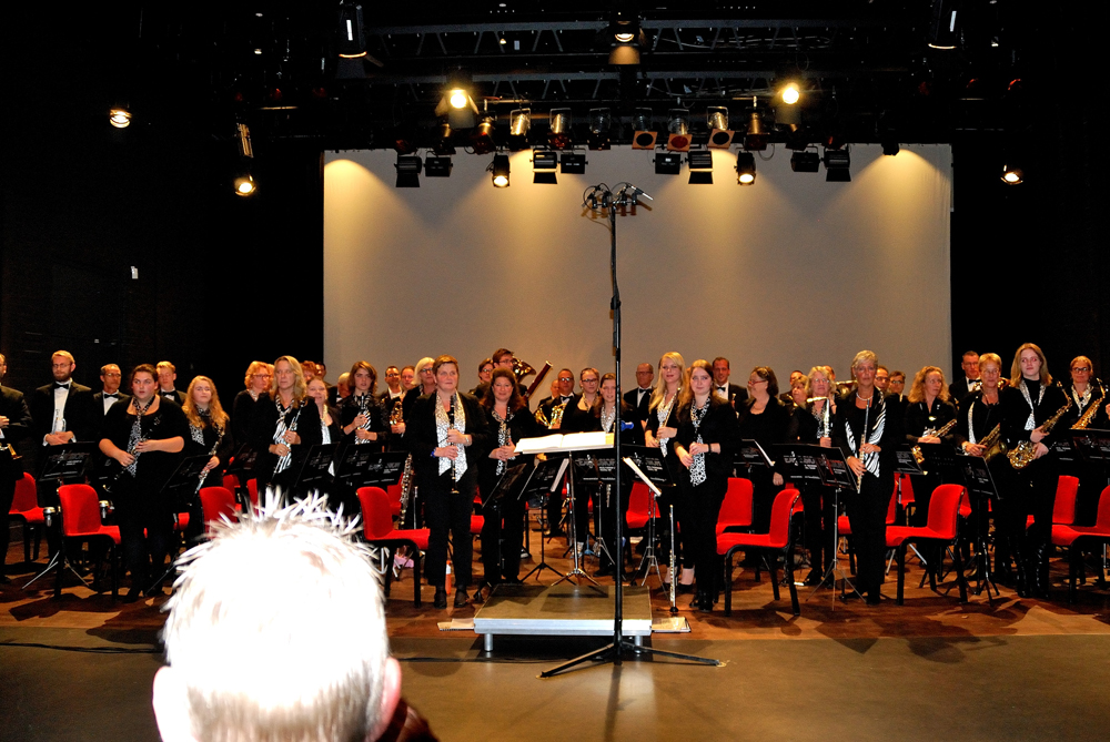 Streekfestival Bodegraven 7 November 2015 — foto 39