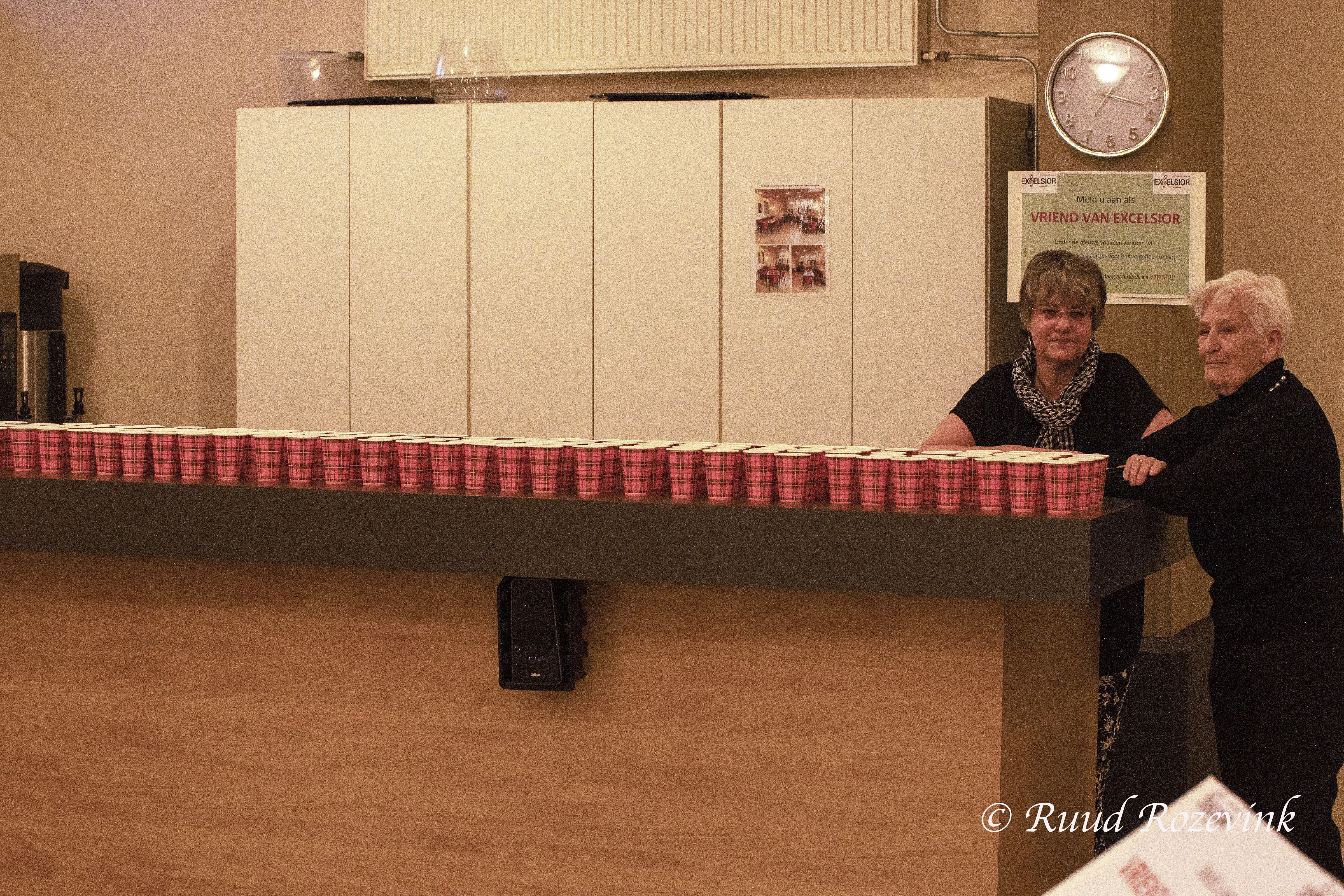 Voorjaarsconcert 30 Maart 2019 — foto 10